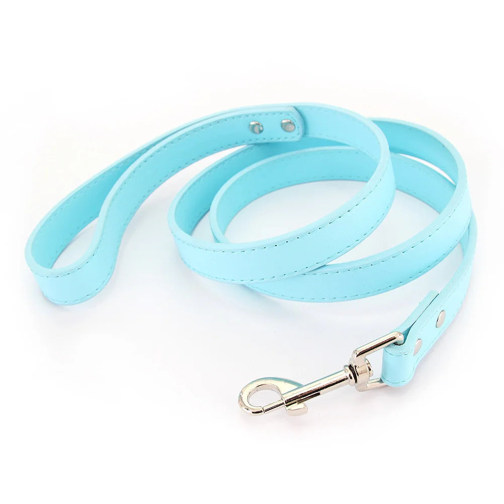 Color Pop Basics Leather Leash Lead