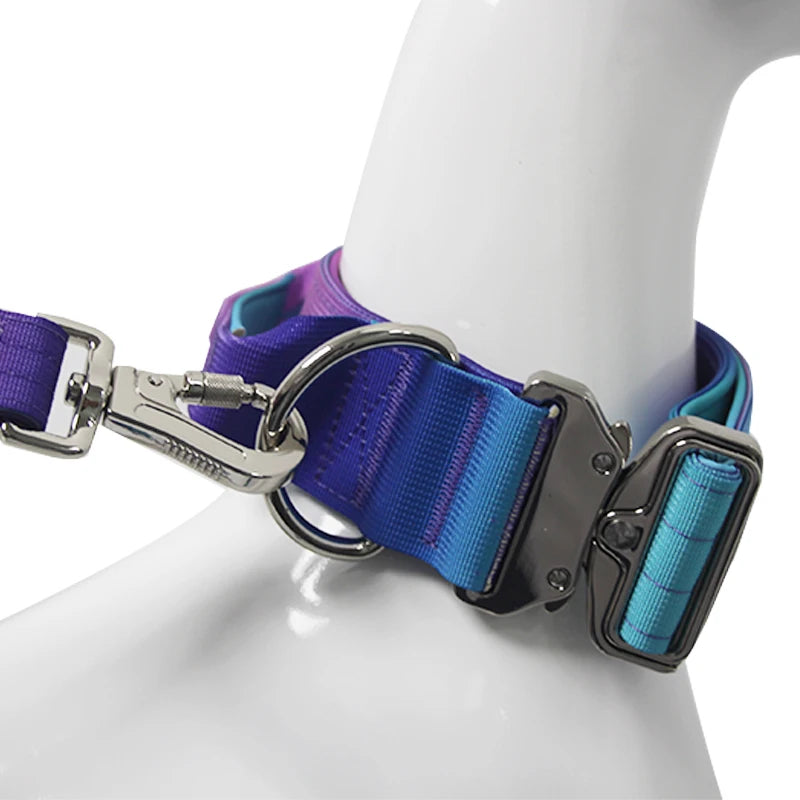 Gradient Vibes Nylon Wide Handled Pet Collar and Leash Set