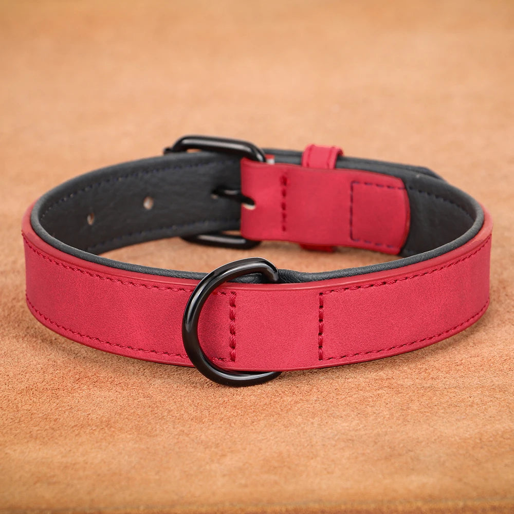 Durable Soft Padded Leather Dog Collar