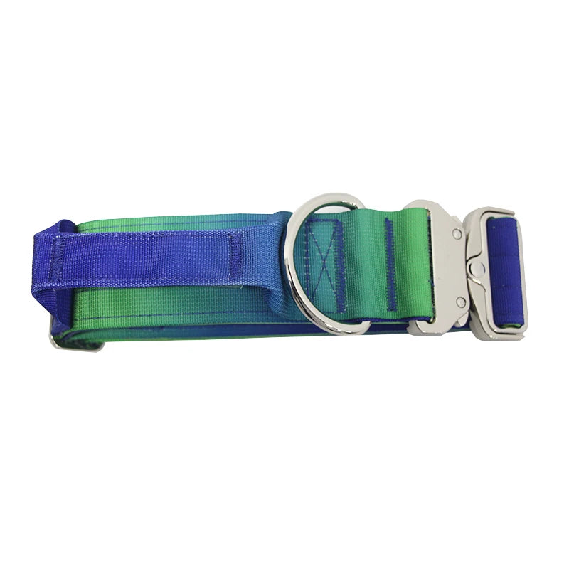 Gradient Vibes Nylon Wide Handled Pet Collar and Leash Set