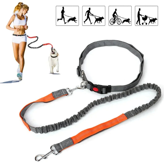 Hands-Free Adjustable Waist Running Leash Lead
