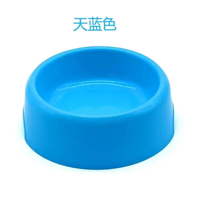 Color Pop Eco Friendly Pet Bowl