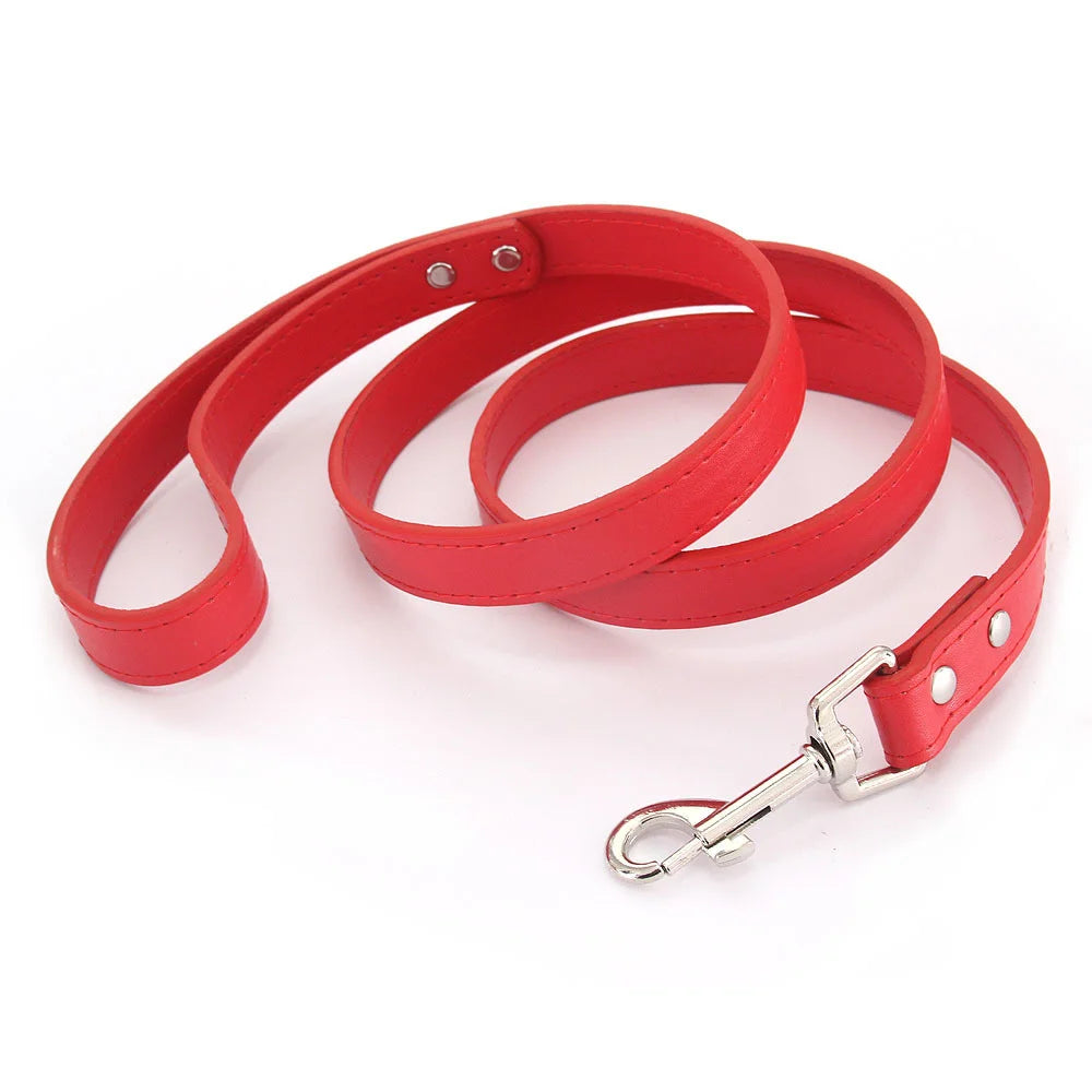 Color Pop Basics Leather Leash Lead